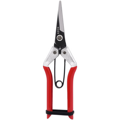 Pruning Shear