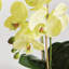 Orchid Faux Floral