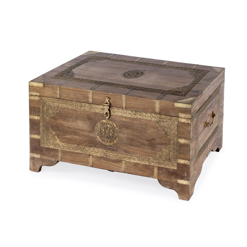 Aydan 4 Legs Coffee Table with Storage, Light Brown/ Gold