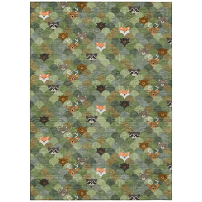 Machine Washable Indoor/Outdoor Chantille ACN2582 Kids Rug