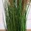 4 pi Herbe de pampas artificielle