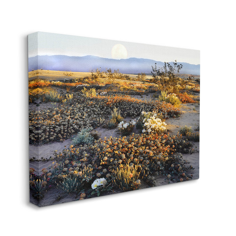 Art de la giclée par Danita Delimont, H 24 po x l 30 po x P 1,5 po, Toile tendue