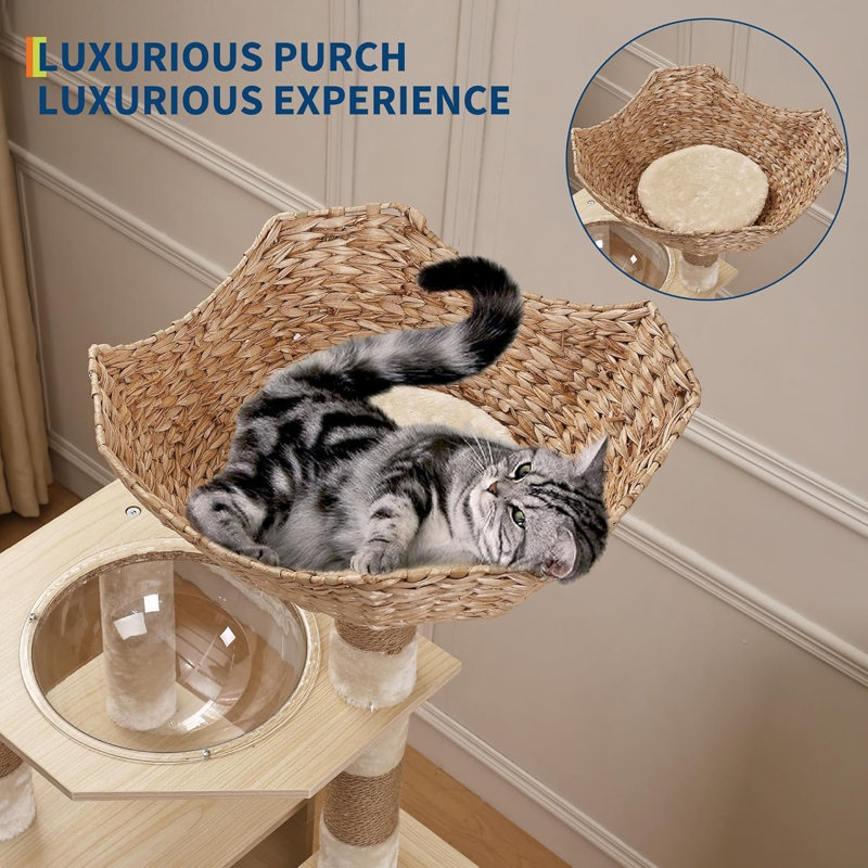 Scratching Post