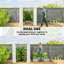 Greenhouse-122888018