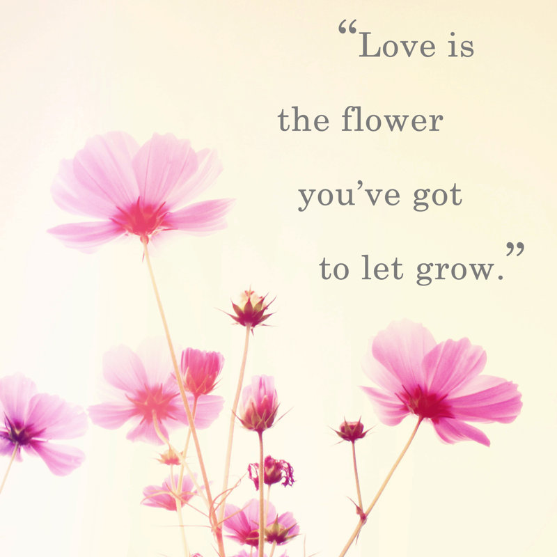 Inspirational Quote by Happydancing - Wrapped Canvas Print, 76cm H x 76cm W