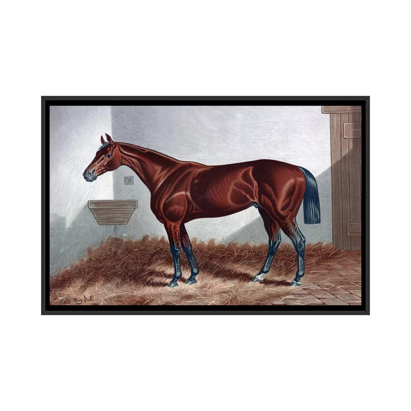 «Horse II» par - impression sur toile tendue, H 18 po x l 26 po x P 1,5 po, Toile encadrée noire, Pas de tapis