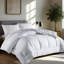  All Season Polyester Down Alternative Comforter/Duvet Insert-990009615