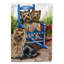 Drapeau de maison Hvidovre Sheltie Halloween en polyester à 2 faces 3 x 2 pi-81031339