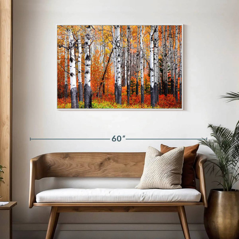 Banff Aspen Forest, Floating Frame White, 43" X 29"