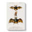 Long-Eared Bat by Charles D' Orbigny - Wrapped Canvas Print-55365701