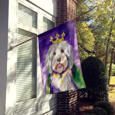 Double Sided 40'' H x 28'' W Polyester Mardi Gras House Flag