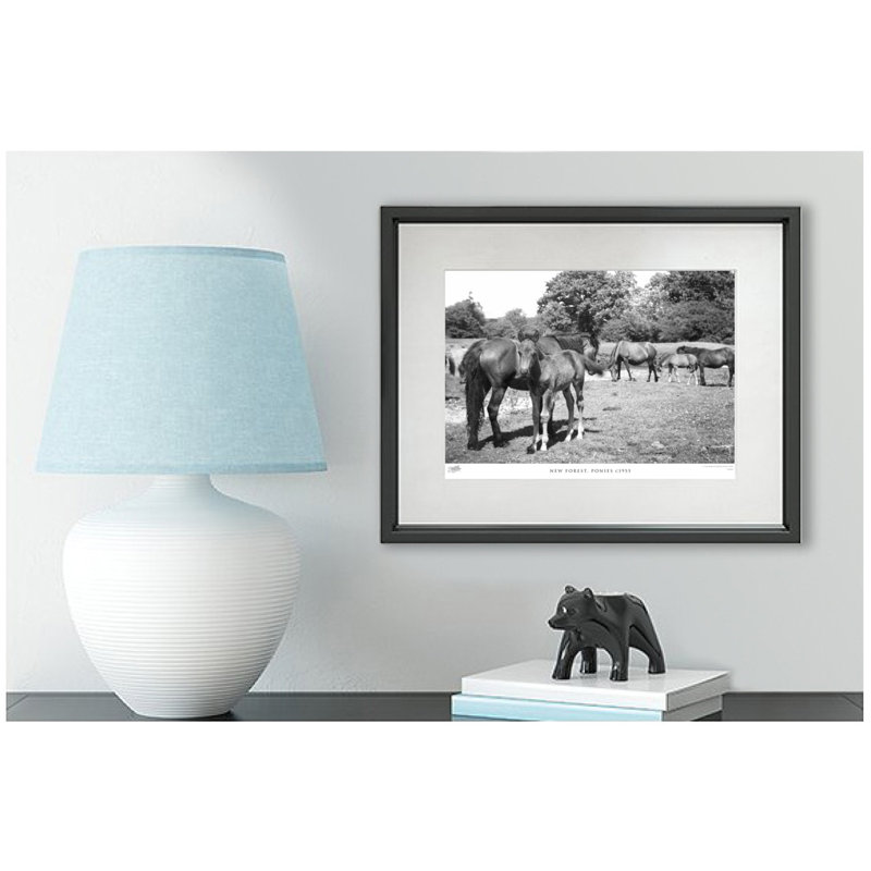 New Forest, Ponies C1955 by Francis Frith - Single Picture Frame Print, 60cm H x 80cm W x 2.3cm D