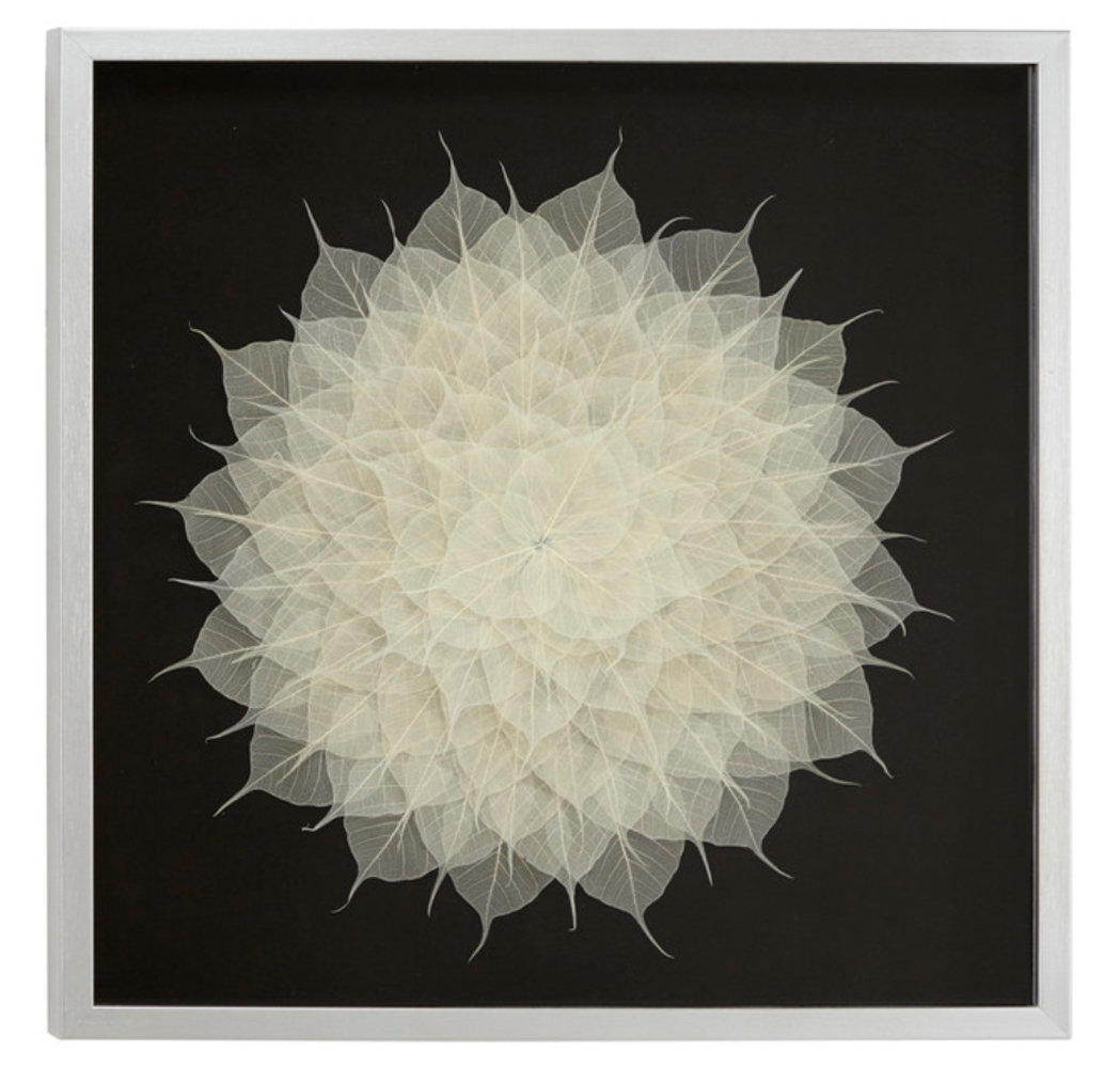 Modern Plants & Flowers Wall Decor on Wood Dakota Fields