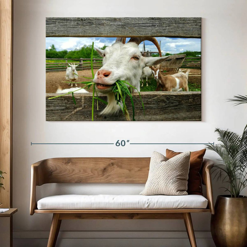 Brampt Euphoric Goat, 34" H x 51" W