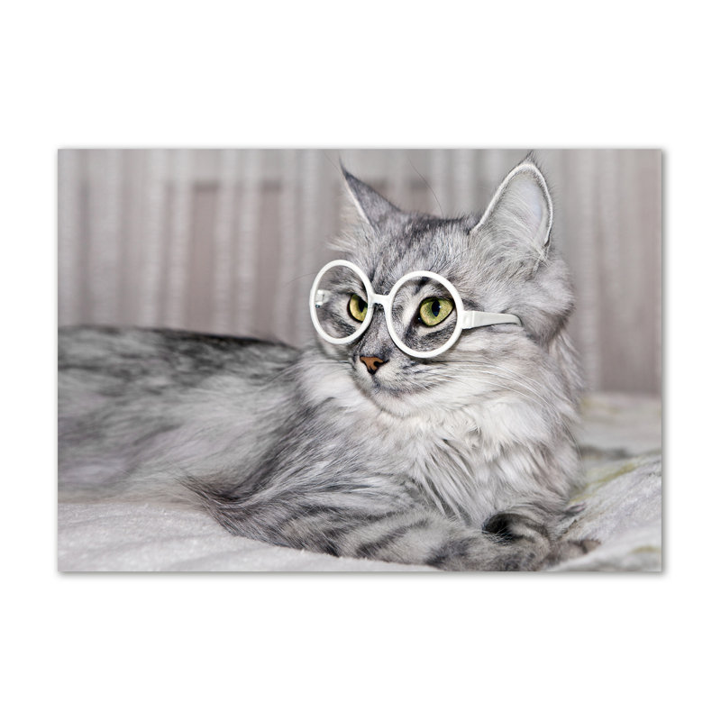 Cat With Glasses - Wrapped Canvas Print