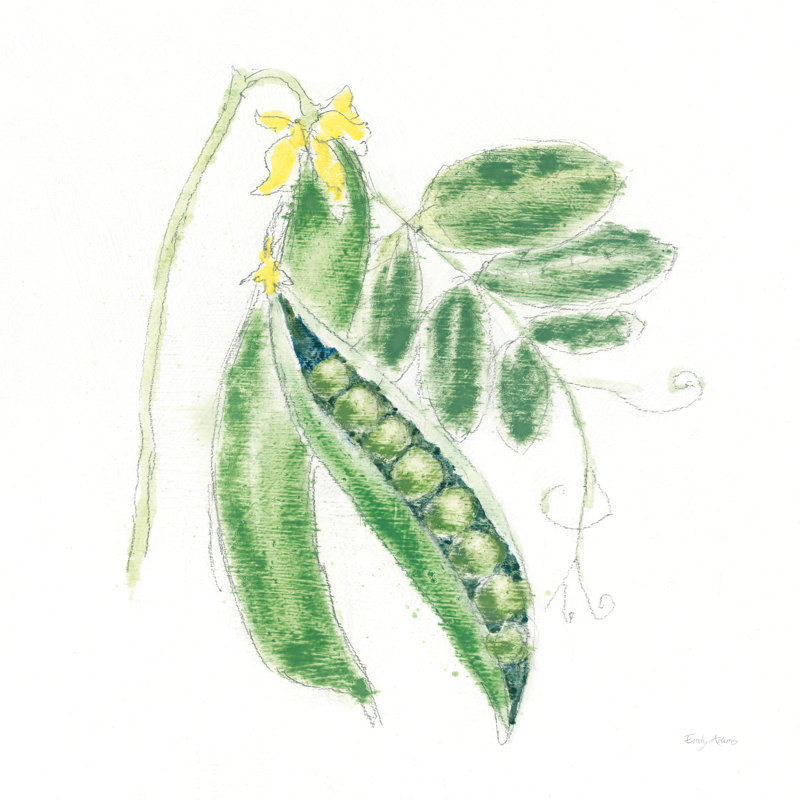 Garden Delight XI by Emily Adams - No Frame Painting on Canvas, 91cm H x 91cm W x 3.8cm D