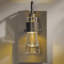 Erlenmeyer 1-Light Armed Sconce-7201377