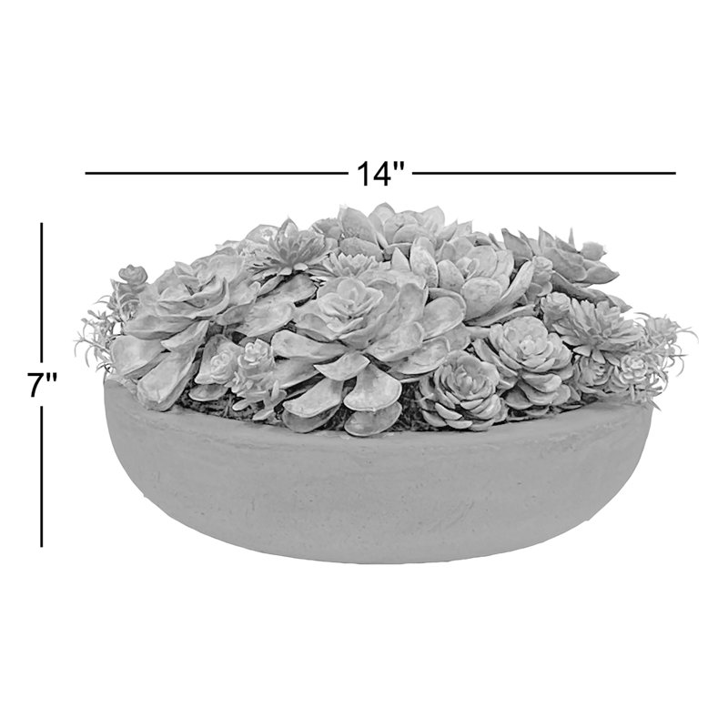 Succulents Mix In Round Bowl
