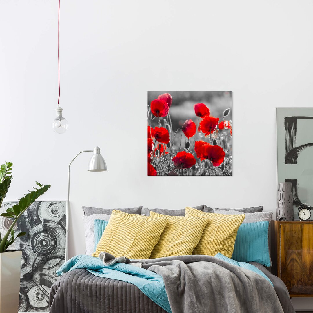 Leinwandbild Roter Mohn im Feld