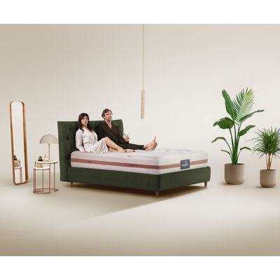 New Cotton Grande Dual 12 Twin XL