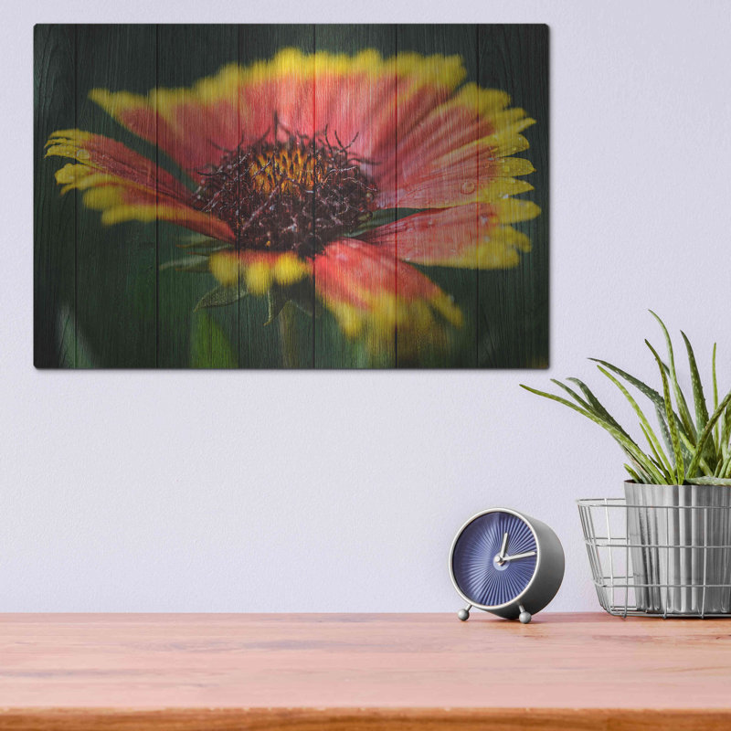 Luxe Wood Art «Wood Series: Sunburst», mur en métal «Wood Series: Sunburst» par Bess Hamiti, H 12 po x l 16 po