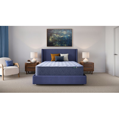 Five Star Mattress Sleep to Go 14" Plush Mattress in a Box