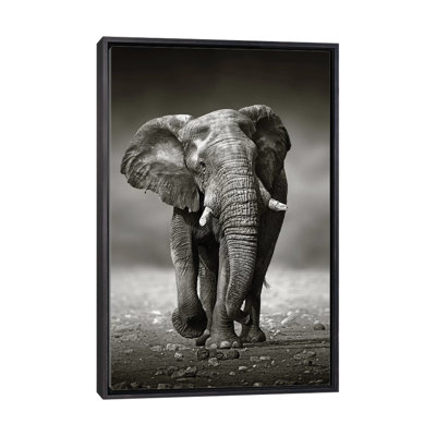 Éléphant approche de l'avant par Johan Swanepoel - reproduction de photo