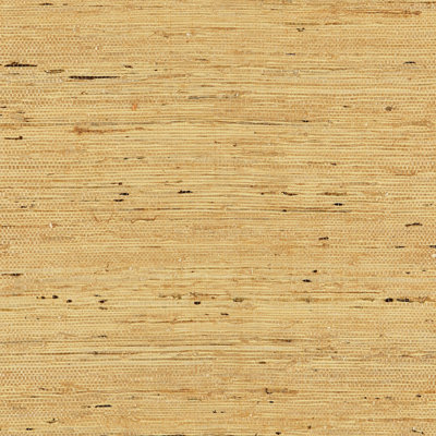 Rouleau de papier peint 24 po x 36 po Natural Textures Arrowroot Weave