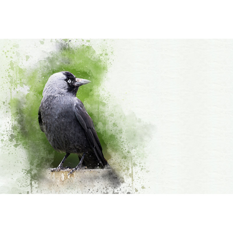 Adult Jackdaw - Wrapped Canvas Print, 81cm H x 122cm W x 3.8cm D
