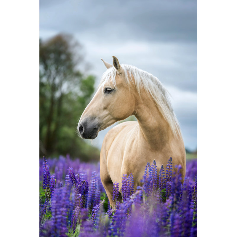 Portrait Of A Purebred Horse On Lupine Flowers Background by AsyaPozniak - Wrapped Canvas Print, 122cm H x 81cm W