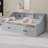 Daybed Frame With Storage Bookcases And Two Drawers,Charging Design-1970495081