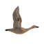 Ensemble de 3 décorations murales d'oiseaux en mouvement, décoration intérieure pour salon, salle à manger, bureau, chambre à coucher