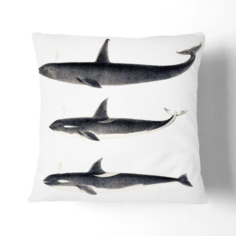 Square Throw Cushion, Stone, 55cm H x 55cm W x 20cm D