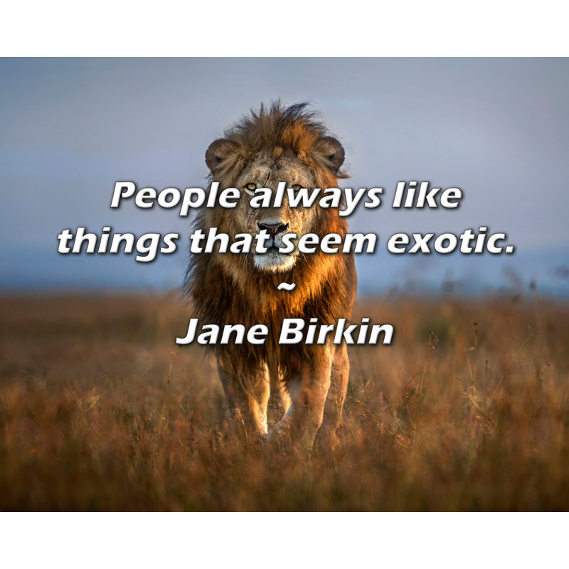 Citation de Jane Birkin: Les gens aiment toujours les choses qui semblent exotiques., H 20 po x l 24 po