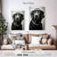 Labrador noir Brampt-108245367