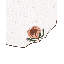 Circular Elegance Placemat 16.5 Inch Round