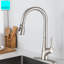 Robinet de cuisine rétractable à poignée simple avec accessoires-65105821