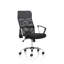 Executive Chair with Headrest