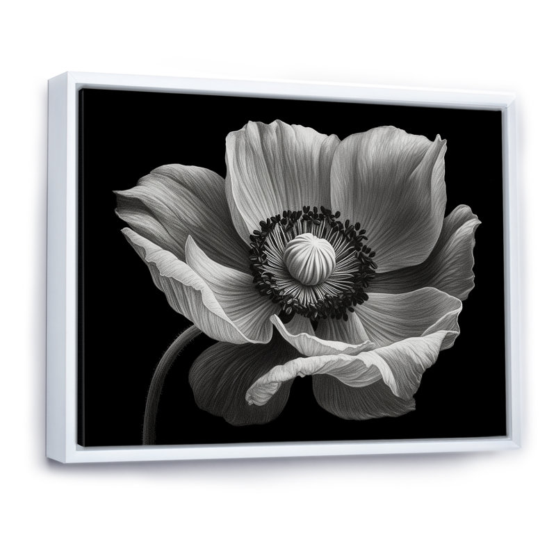 Coquelicots noirs et blancs sur toile, Cadre flottant blanc, H 16 po x l 32 po x P 1 po