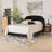 Kulthoom Upholstered Standard Bed