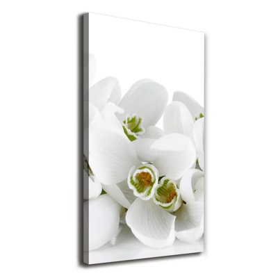 White Snowdrops - Wrapped Canvas Print