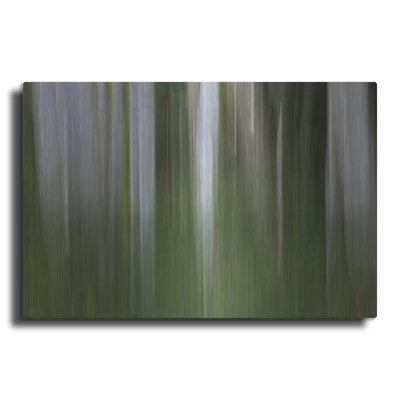 Ivy Bronx «Aspen Forest In The Spring V1» par Bill Sherrell, art mural en métal