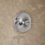 Purist® Rite Temp Shower Faucet-37342037