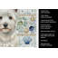 Serviette de cuisine Westie-1209192627
