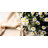 Silk Cloth Daisy Arrangement