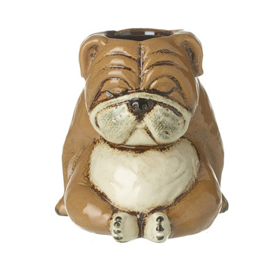 Ceramic Indoor Planter