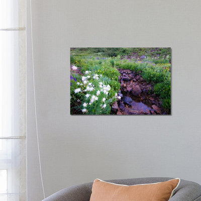 Field Of Beauty 2 by Dan Ballard - Wrapped Canvas Gallery-Wrapped Canvas Giclée