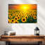 Alvord, coucher de soleil avec tournesols-107502712