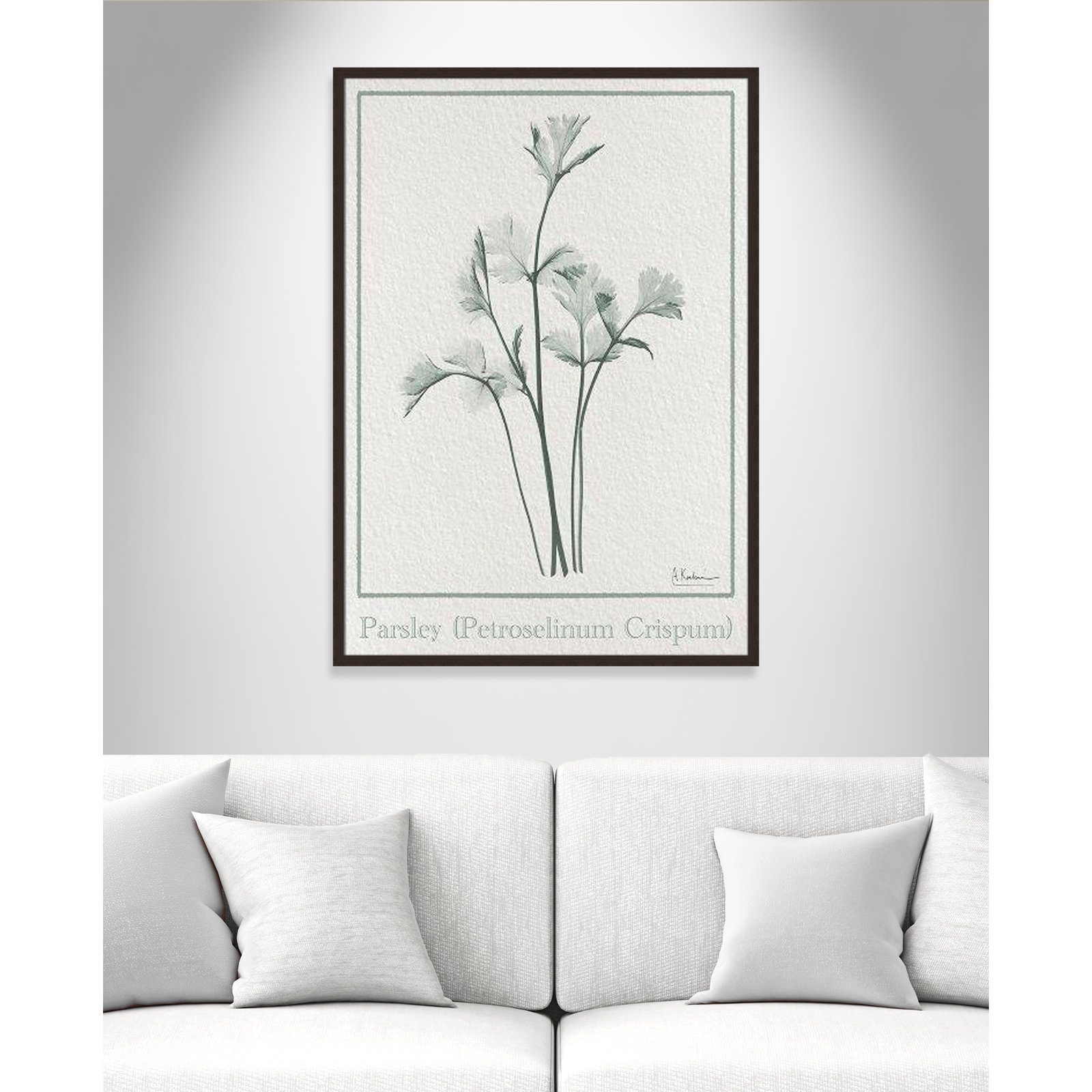 Jeanette "Parsley II" Print by Albert Koetsier, 41.5" H x 29.5" W x 1.25" D, Open Grain Walnut Framed Paper