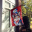 Drapeau patriotique de la maison américaine-112698657